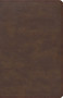KJV Single-Column Compact Bible, Brown LeatherTouch by Holman Bible Publishers, 9781087782805