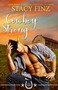 Cowboy Strong by Stacy Finz, 9781516109296