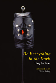 Do Everything in the Dark by Gary Indiana, Olivia Laing, 9781635901863