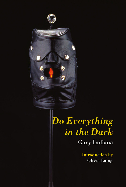 Do Everything in the Dark by Gary Indiana, Olivia Laing, 9781635901863