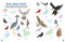 All About Birds Sticker Activity Book (With 100 Stickers!) by Tiger Tales, Kelsey Collings, 9781664340527