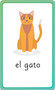 Spanish for Everyone Junior First Words Flash Cards by DK, 9780744073812