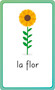 Spanish for Everyone Junior First Words Flash Cards by DK, 9780744073812