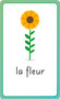 French for Everyone Junior First Words Flash Cards by DK, 9780744073782