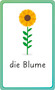 German for Everyone Junior First Words Flash Cards by DK, 9780744073799