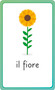 Italian for Everyone Junior First Words Flash Cards by DK, 9780744073805