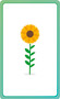 Italian for Everyone Junior First Words Flash Cards by DK, 9780744073805