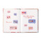 Book - We're Friends for keeps, 9781970147216