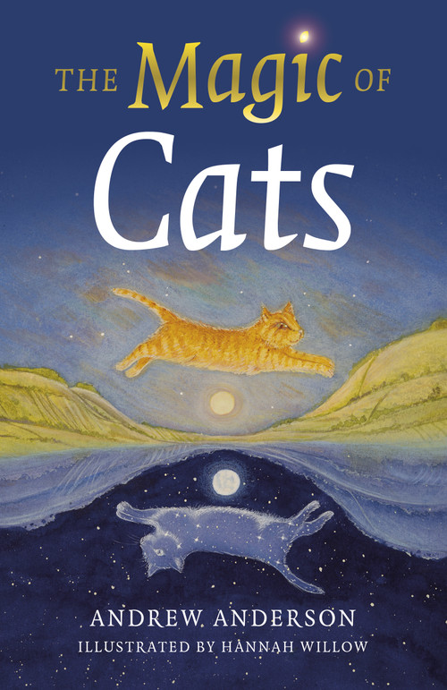 The Magic of Cats by Andrew Anderson, 9781803410661