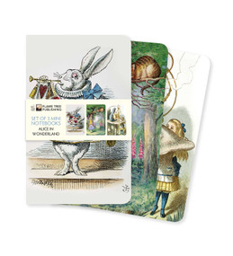 Alice's Adventures in Wonderland Set of 3 Mini Notebooks by Flame Tree Studio, 9781787559141