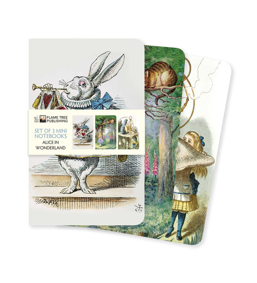 Alice's Adventures in Wonderland Set of 3 Mini Notebooks by Flame Tree Studio, 9781787559141