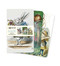 Alice's Adventures in Wonderland Set of 3 Mini Notebooks by Flame Tree Studio, 9781787559141