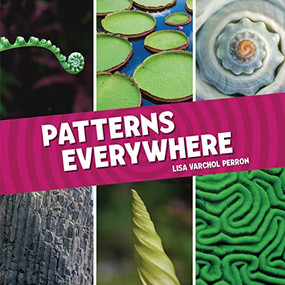 Patterns Everywhere - 9781728460420 by Lisa Varchol Perron, 9781728460420