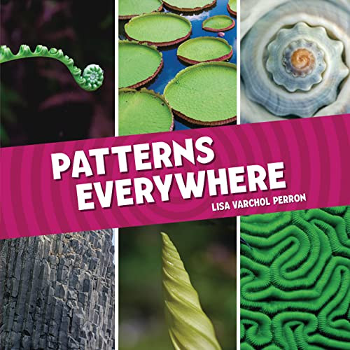 Patterns Everywhere - 9781728460420 by Lisa Varchol Perron, 9781728460420