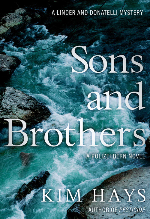Sons and Brothers by Kim Hays, 9781645060581