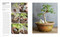 Grow Bonsai (Essential Know-how and Expert Advice for Gardening Success) by Peter Warren, 9780744069648