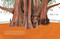 Trees (An Illustrated Celebration) by Kelsey Oseid, 9781984859419