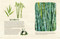 Trees (An Illustrated Celebration) by Kelsey Oseid, 9781984859419
