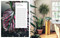 Living Wild (How to plant style your home and cultivate happiness) by Hilton Carter, 9781800652125