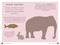 Poo Knew? (Everything you could ever want to know about poo-and more!) by Emma Royde, 9781912983629