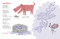 Push-Pull Morning (Dog-Powered Poems About Matter and Energy) by Lisa Westberg Peters, Serge Bloch, 9781635925272