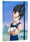 Dragon Ball Z: Vegeta Softcover Notebook by Insight Editions, 9798886630404