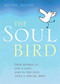 The Soul Bird by Michal Snunit, 9781849010320