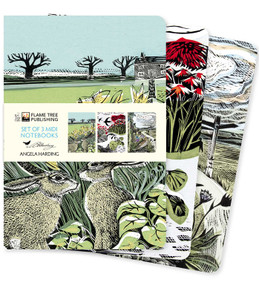 Angela Harding: Landscapes Set of 3 Midi Notebooks - 9781804173183 by Flame Tree Studio, 9781804173183