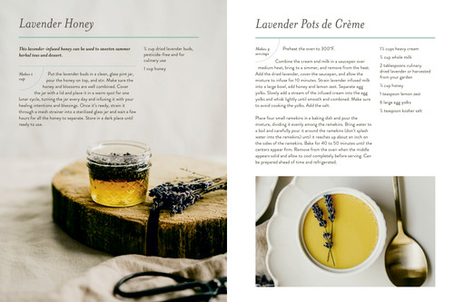 Our Kindred Home (Herbal Recipes, Plant Wisdom, and Seasonal Rituals for Rekindling Connection with the Earth) by Alyson Morgan, 9780593235980