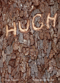 Hugh Hayden (American Vernacular) by Sarah J. Montross, 9780262047999