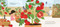 Linh's Rooftop Garden by JaNay Brown-Wood, Samara Hardy, 9781682631683