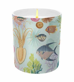Art of Nature: Under the Sea Scented Glass Candle by Insight Editions, 9781682987025