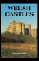 Welsh Castles (A Guide by Counties) by Adrian Pettifer, 9780851157788