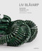 Liv Blavarp (Jewellery. Structures in Wood) by Cecilie Skeide, Anne Britt Yivisaker, Helen W. Drutt, Charon Kransen, 9783897904972