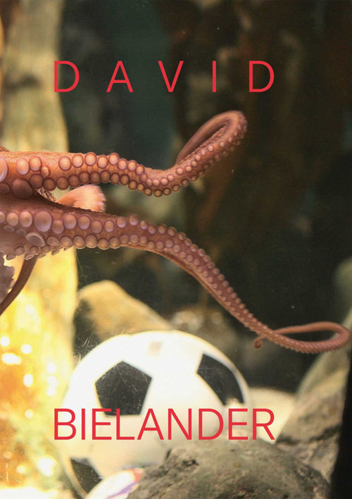 David Bielander (Twenty Years. 2016-1996) by Florian Hufnagl, Marjan Unger, Jorunn Veiteberg, 9783897904873