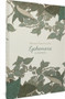 Ephemera (A Memoir) by Briana Loewinsohn, 9781683966906