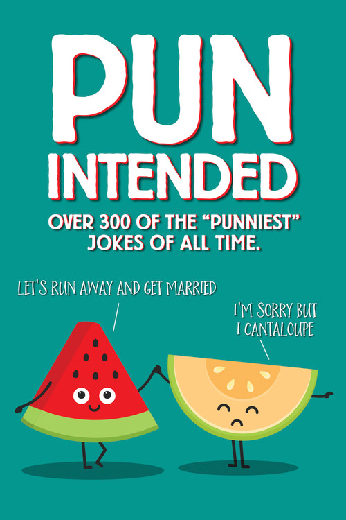 Pun Intended Paperback Gift Book by Willow Creek Press, 9781682349403