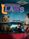 America's Oddest Laws by Michael Canfield, 9781482440270