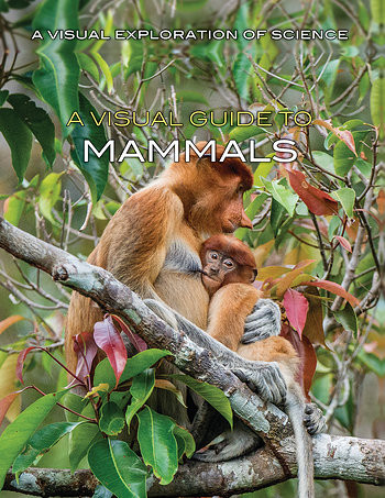 A Visual Guide to Mammals by Sol90 Editorial Staff, 9781508186199