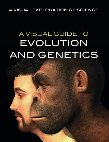 A Visual Guide to Evolution and Genetics - 9781508186281 by Sol90 Editorial Staff, 9781508186281