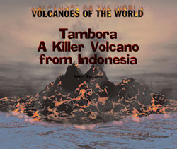 Tambora by Kathy Furgang, 9780823956616