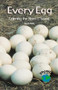 Every Egg by Lynn Metz, 9780823959099