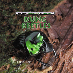 Dung Beetles - 9780823962389 by Andrew Hipp, 9780823962389