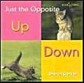 Up, Down by Sharon Gordon, 9780761415732