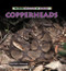 Copperheads - 9780823967216 by Heather Feldman, 9780823967216