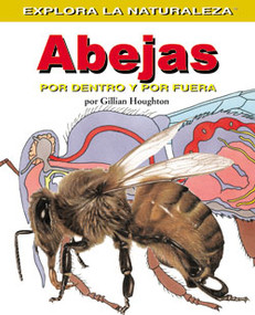 Abejas: Por dentro y por fuera (Bees: Inside and Out) by Gillian Houghton, 9781404228627