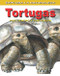 Tortugas: Por dentro y por fuera (Turtles: Inside and Out) by Gillian Houghton, 9781404228696