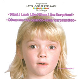 What I Look Like When I Am Surprised / Cómo me veo cuando estoy sorprendido by Joanne Shepherd, 9781404275119