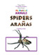 Spiders / Arañas by Jannell Khu, 9781404275232