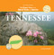 Tennessee (Bilingual Edition) by Vanessa Brown, 9781404231085